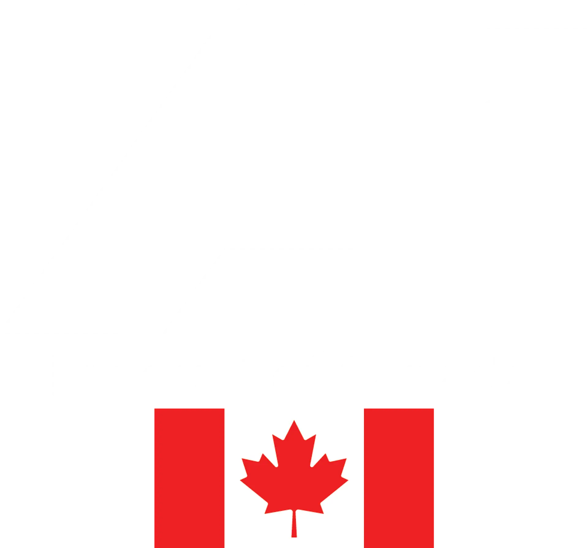 Ai group LTD